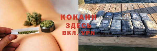 spice Алзамай