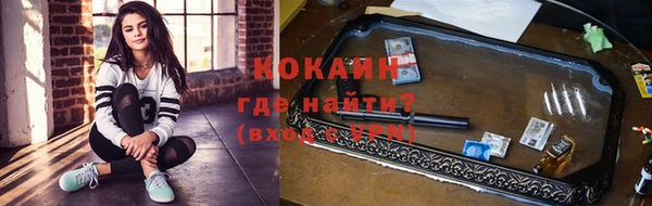 spice Алзамай